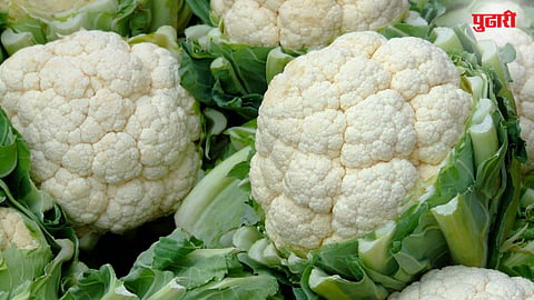Cauliflower Rate