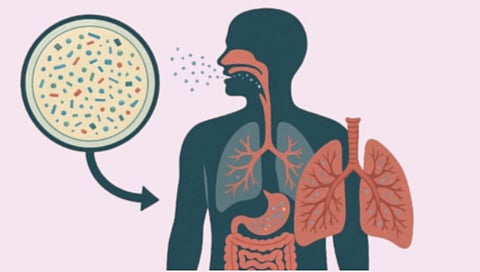microplastics environmental challenges