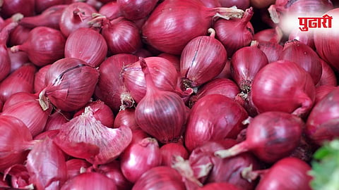 Onion News