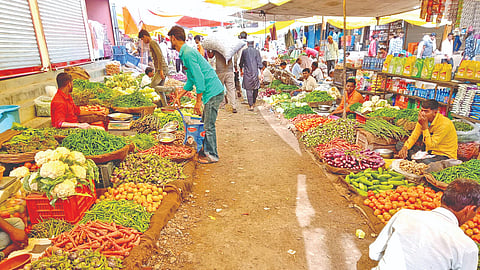 Shevga price