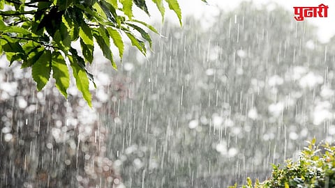 Rain