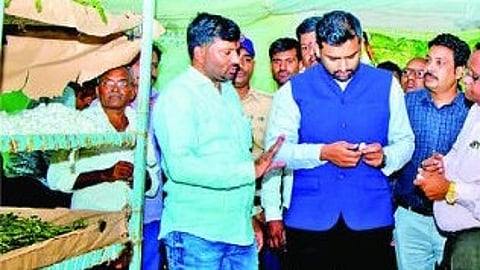 Beed News