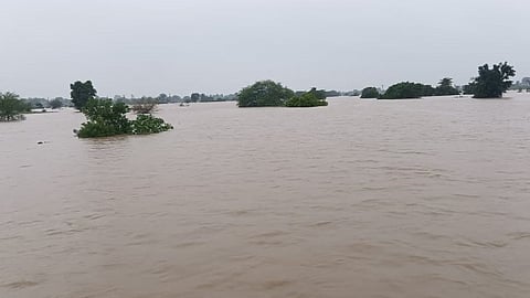 Gadchiroli Rain News