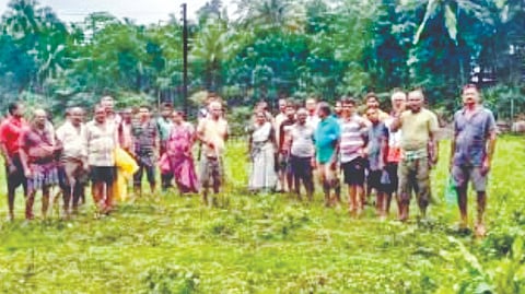 Sawantwadi MSEB Protest