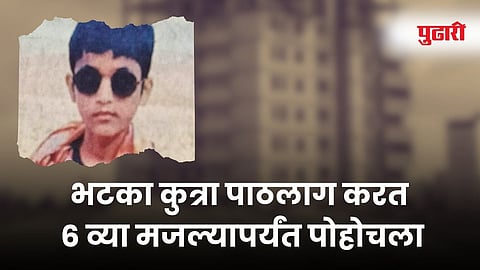 Nagpur Child Death Stray Dog News