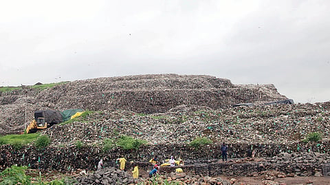 Moshi Garbage Depot