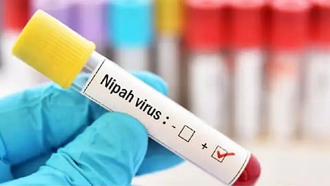 Kerala Nipah Alert