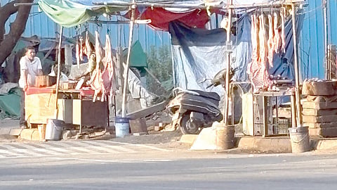 Navi Mumbai Airport : नवी मुंबई विमानतळ परिसरात चिकन-मटण बेकायदेशीर कत्तल