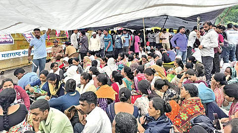 नाशिक