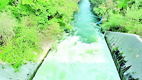 Nathsagar Dam