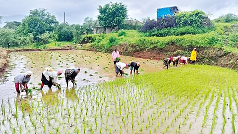Satara News |