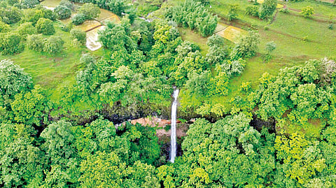 natural-waterfalls-in-bhudargad-for-monsoon-tourism
