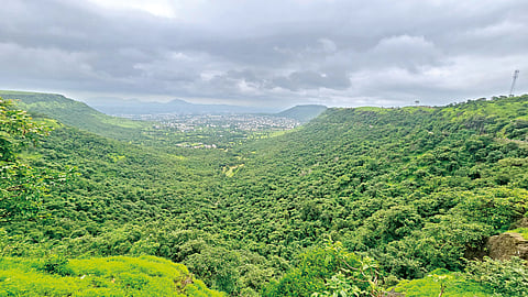 Shravan |