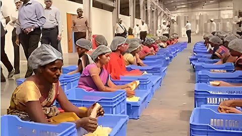 Food Processing Industry