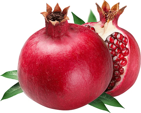Sangola farmers news |
