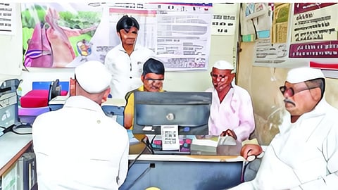 Crop insurance News
