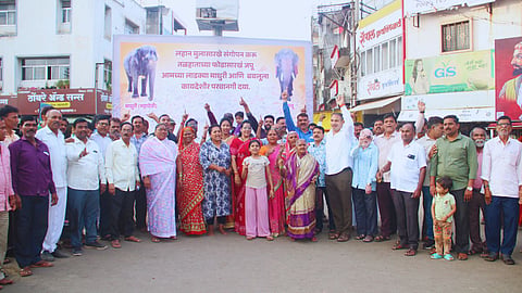 Madhuri elephant