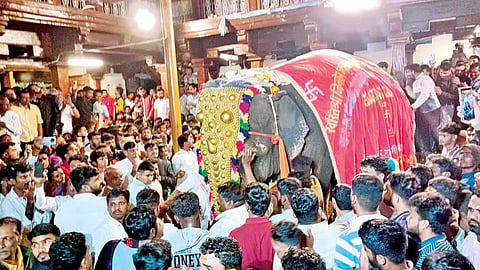kolhapur news madhuri elephant cleared for return to nandani but legal hurdles remain says minister prakash abitkar