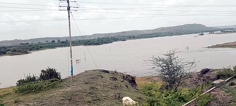 Mula Dam Rainfall