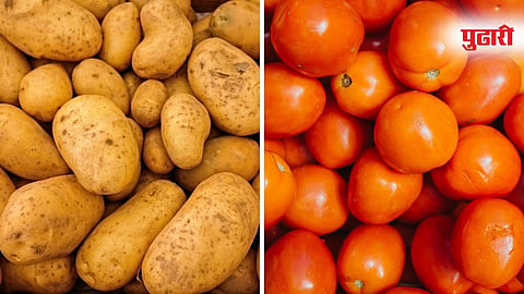 Potato Tomato