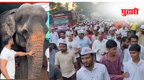 Mahadevi Elephant