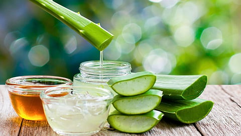 Aloe Vera For Hair Growth