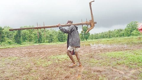 Crop Insurance Scheme | रायगडमधील बळीराजाची शासनाकडून थट्टा; 2024 मध्ये पात्र असूनही अजून विमापासून वंचित