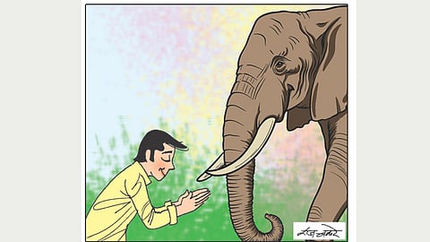 Elephant In Indian Culture