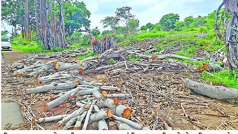 Beed-Parli road