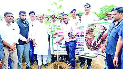 Tree planting