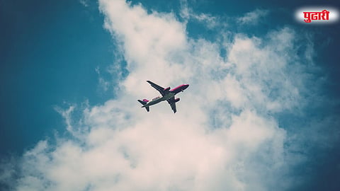 airlpale