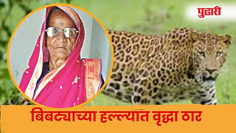Leopard Attack at Dindori | दिंडोरीत बिबट्याच्या हल्ल्यात वृद्धा ठार