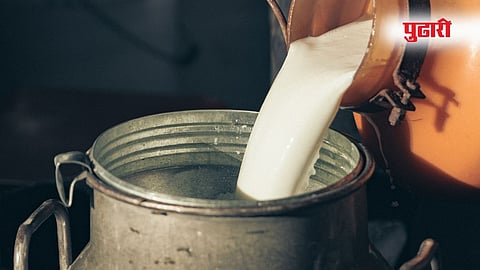 GST Cut on Dairy Products
