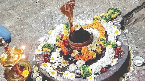 रायगड