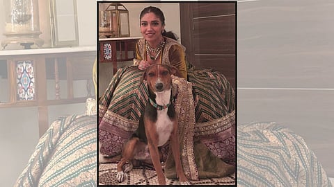 Bhumi Pednekar: भटक्या कुत्र्यांसाठी भूमी पेडणेकर मैदानात; ऋग्वेद, महाभारताचा दिला दाखला