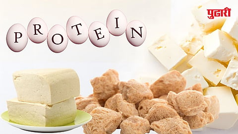 Healthy Protein Diet