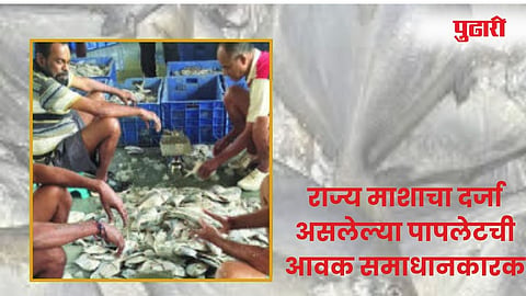 पालघर