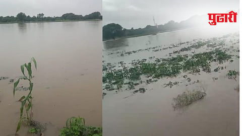 Nanded rain news