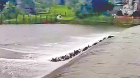 Mumbai lake overflow