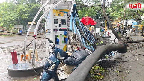 Ichalkaranji tree falls petrol pump