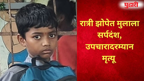 Vikramgad child snake bite death