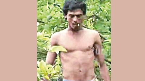 Modern Tarzan Soundatti Forest