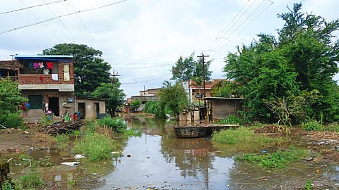 Warana river water level