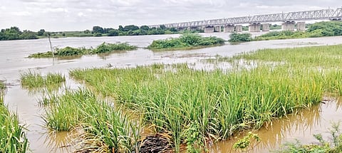 |Ahilyanagar Rain news