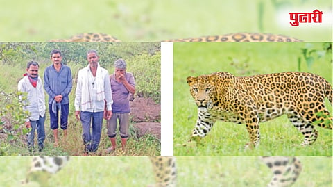 तालुक्यातील सुलेमान देवळा, भोजेवाडी, गहूखेल, म्हसोबावाडी या पंचक्रोशीत गेल्या दोन महिन्यांपासून बिबट्याचा धुमाकूळ सुरू असून शेतकर्यांमध्ये प्रचंड भीतीचे वातावरण निर्माण झाले आहे.
