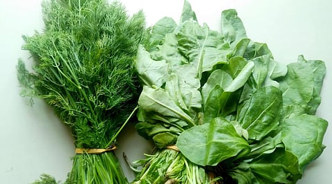 Palak Shepu Price