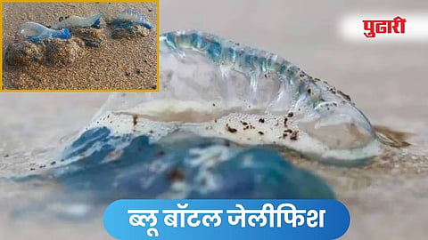 मुंबई
