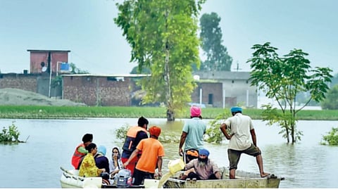Punjab flood |