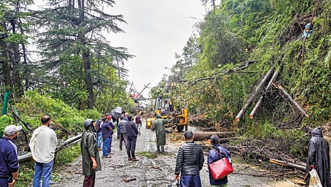 himachal landslide 800 roads closed