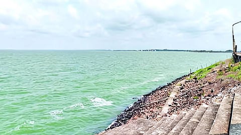 Nathsagar Dam